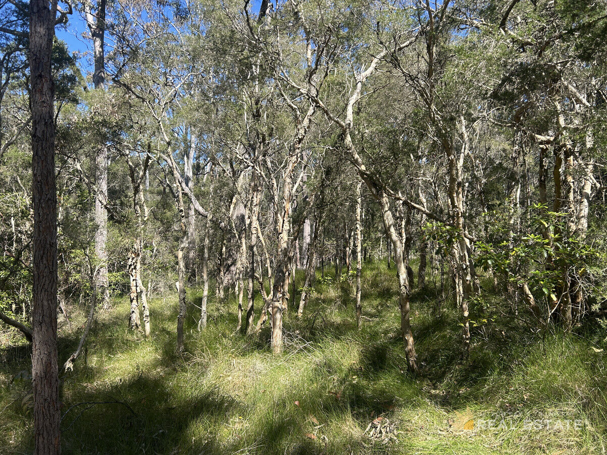 Lot 1251 Station Way, North Arm Cove NSW 2324, North Arm Cove - Thumbnail 8