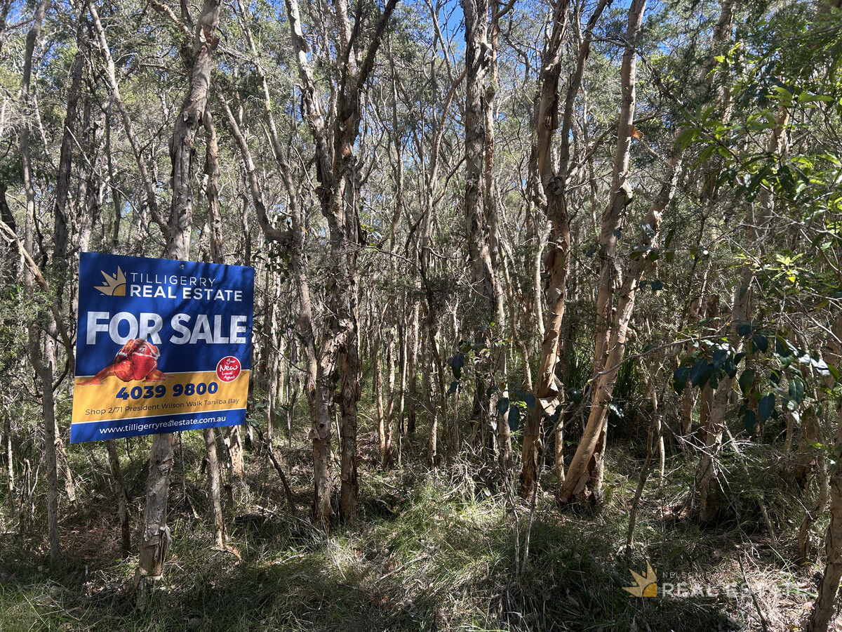 Lot 1251 Station Way, North Arm Cove NSW 2324, North Arm Cove - Thumbnail 7