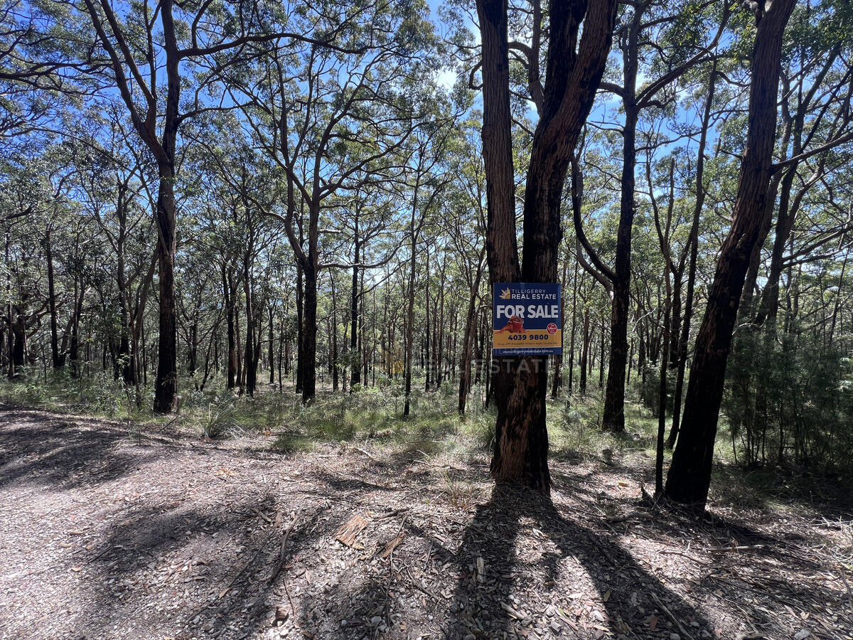 Lot 767A Crest Road, North Arm Cove NSW 2324, North Arm Cove - Thumbnail 6