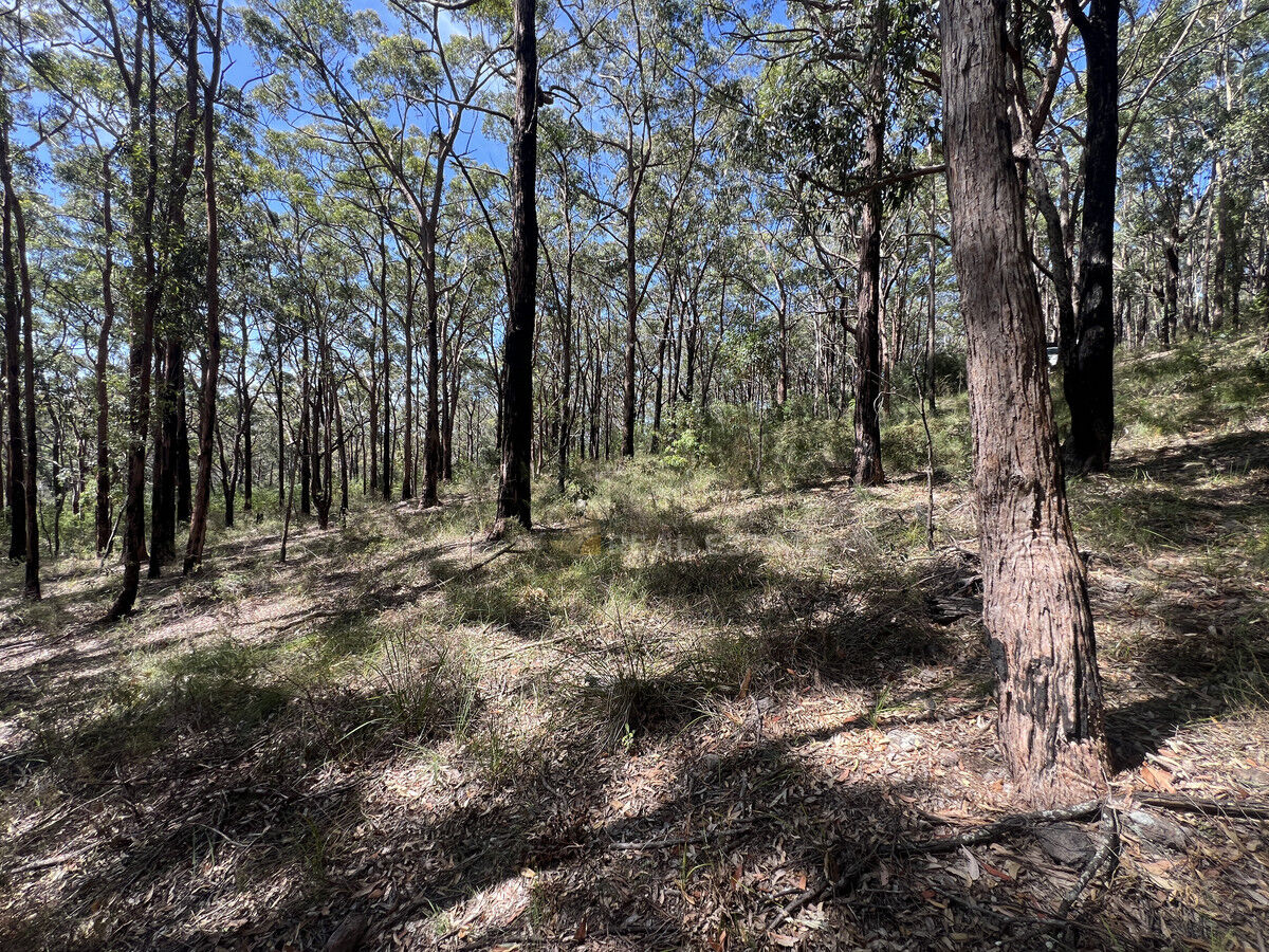 Lot 767A Crest Road, North Arm Cove NSW 2324, North Arm Cove - Thumbnail 7