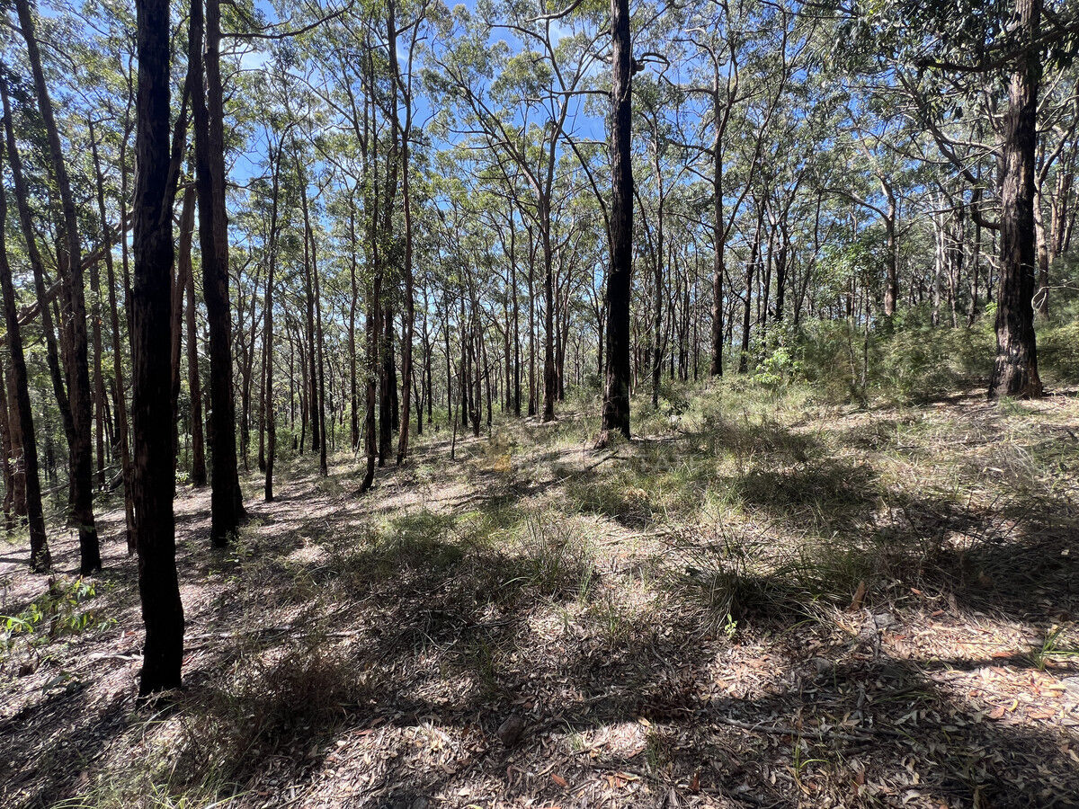 Lot 767A Crest Road, North Arm Cove NSW 2324, North Arm Cove - Thumbnail 8
