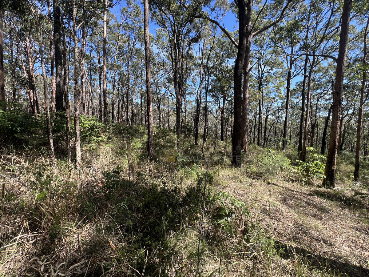 Lot 776A Crest Road, North Arm Cove NSW 2324, North Arm Cove - Thumbnail 5