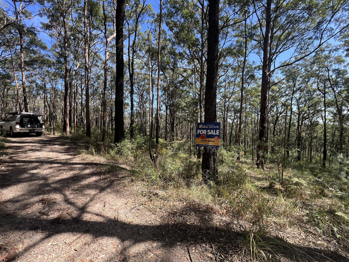 Lot 776A Crest Road, North Arm Cove NSW 2324, North Arm Cove - Thumbnail 6