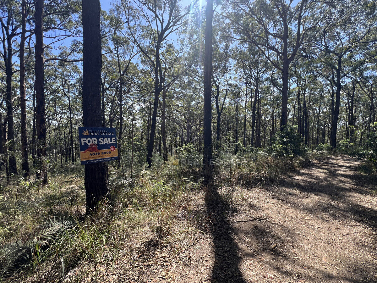Lot 776A Crest Road, North Arm Cove NSW 2324, North Arm Cove - Thumbnail 7