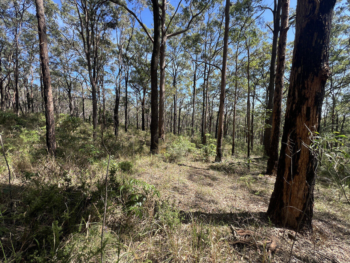 Lot 776A Crest Road, North Arm Cove NSW 2324, North Arm Cove - Thumbnail 8