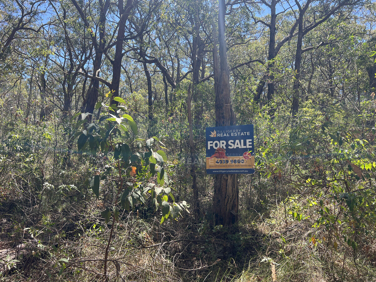 Lot 695 Point Circuit, North Arm Cove NSW 2324, North Arm Cove - Thumbnail 2