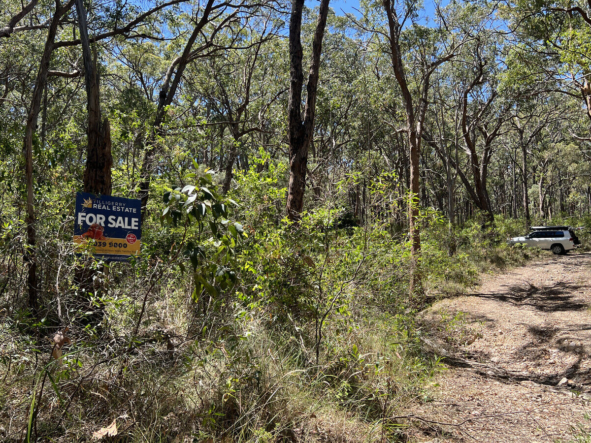 Lot 695 Point Circuit, North Arm Cove NSW 2324, North Arm Cove - Thumbnail 5