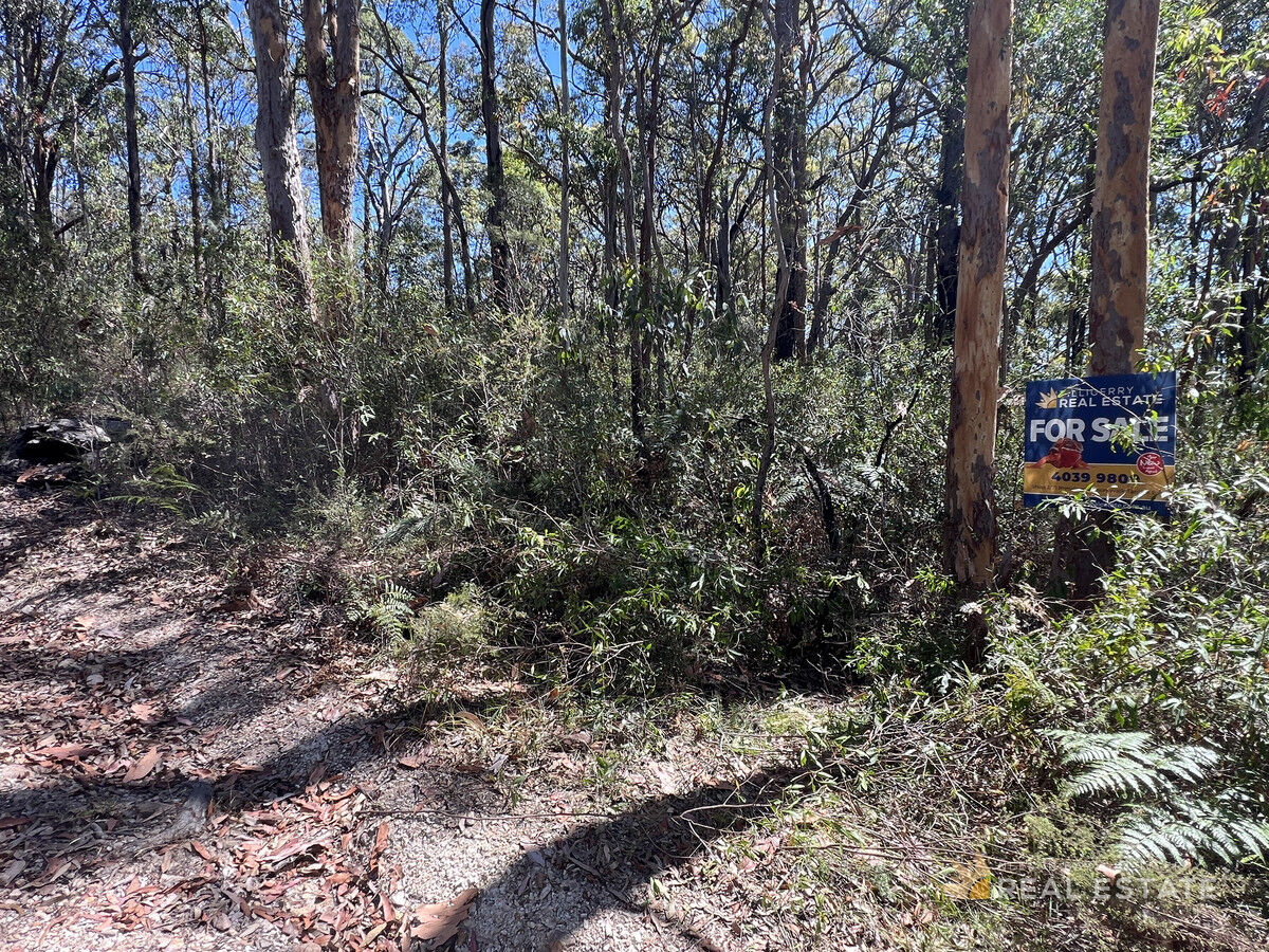 Lot 1082 Warialda Parkway, North Arm Cove NSW 2324, North Arm Cove - Thumbnail 4