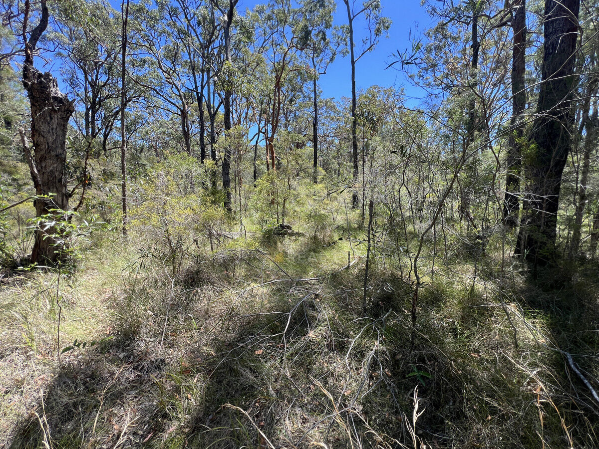 Lot 1922 + 1923 Kendall Street, North Arm Cove NSW 2324, North Arm Cove - Thumbnail 5