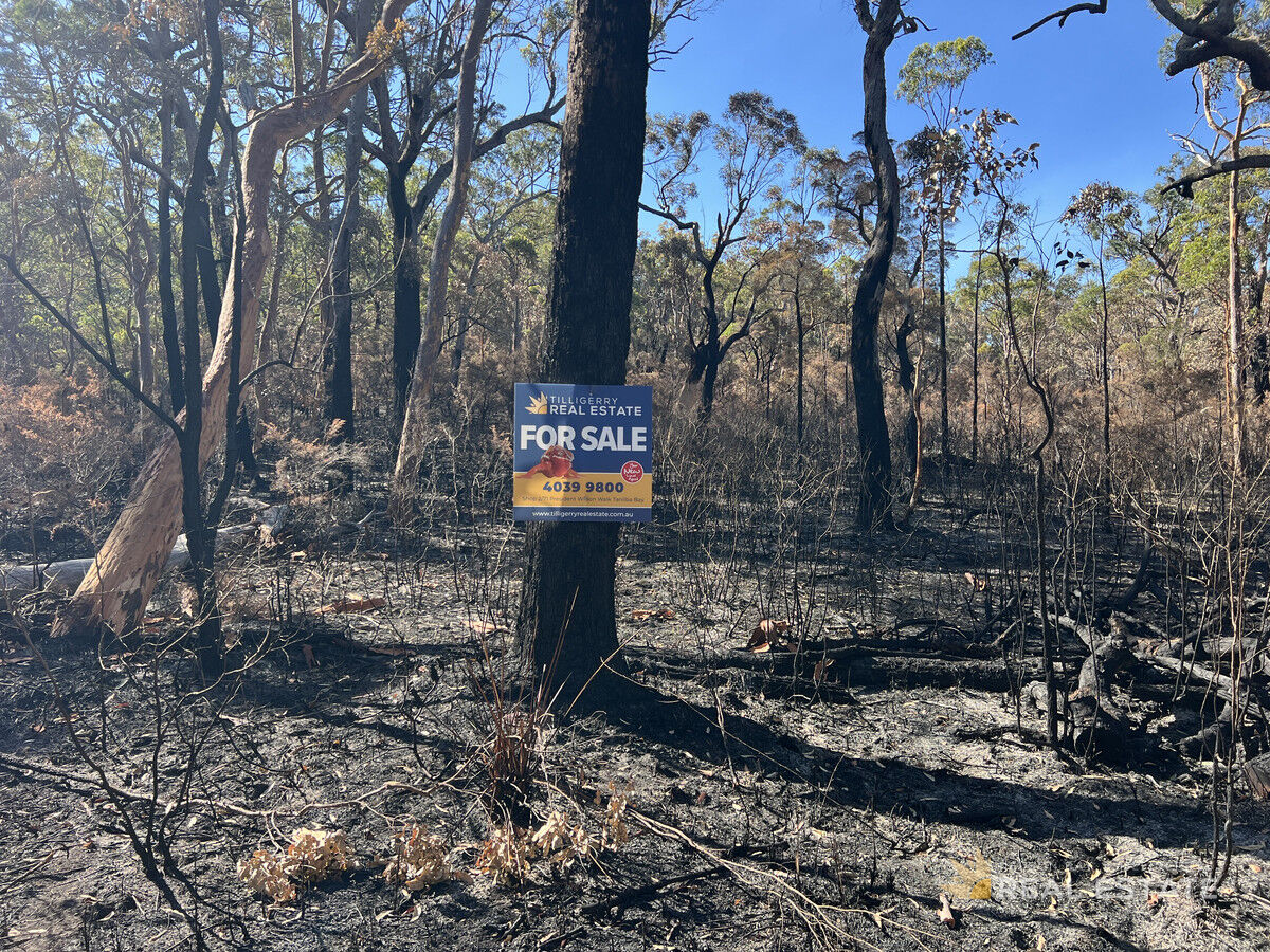 Lot 795 Tenterfield Road, North Arm Cove NSW 2324, North Arm Cove - Thumbnail 7