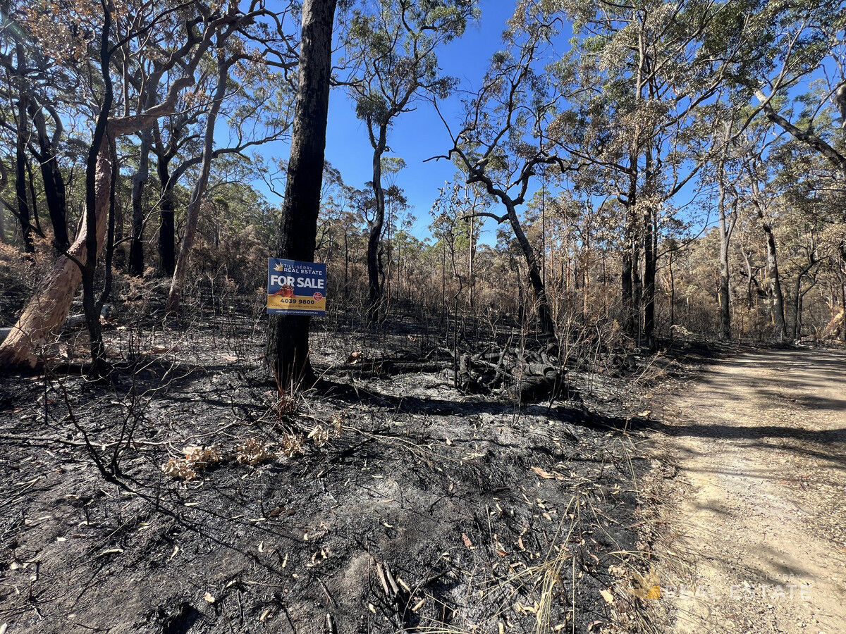Lot 795 Tenterfield Road, North Arm Cove NSW 2324, North Arm Cove - Thumbnail 4