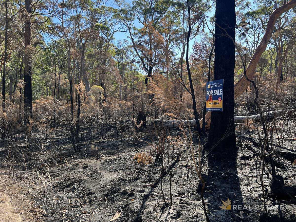 Lot 795 Tenterfield Road, North Arm Cove NSW 2324, North Arm Cove - Thumbnail 8