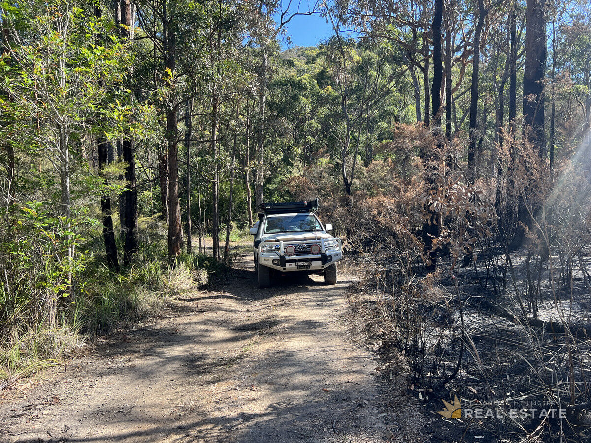 Lot 795 Tenterfield Road, North Arm Cove NSW 2324, North Arm Cove - Thumbnail 3