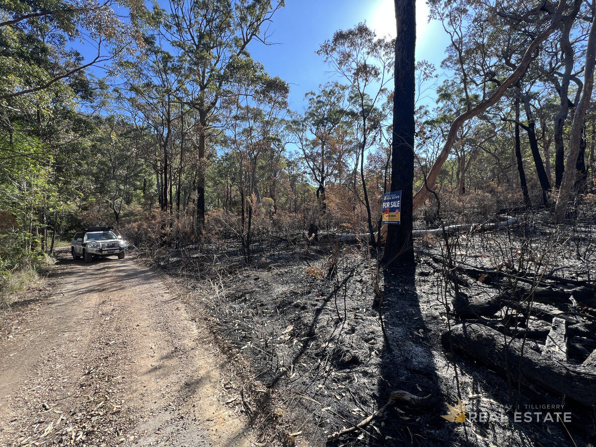 Lot 795 Tenterfield Road, North Arm Cove NSW 2324, North Arm Cove - Thumbnail 5