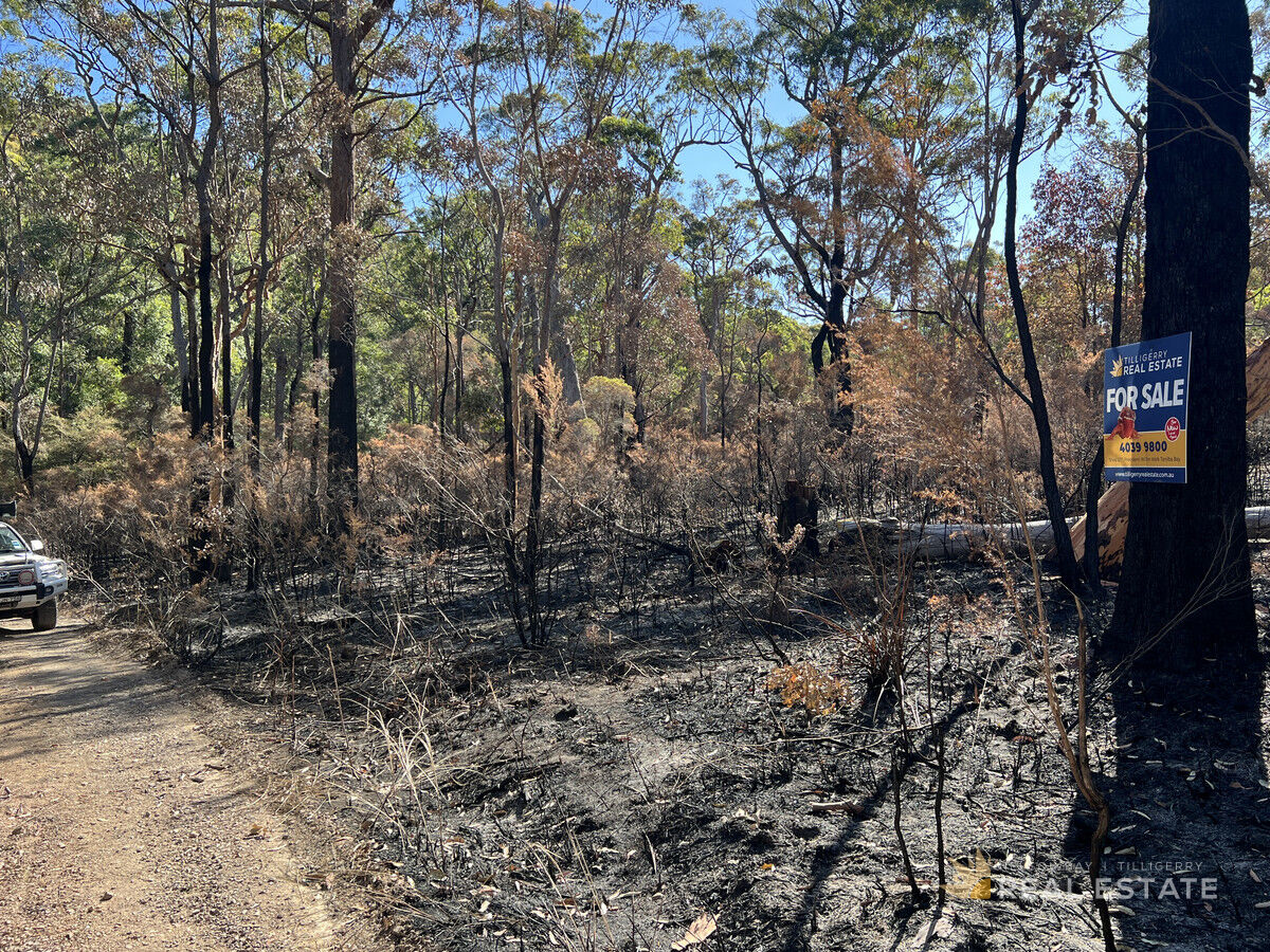 Lot 795 Tenterfield Road, North Arm Cove NSW 2324, North Arm Cove - Thumbnail 6