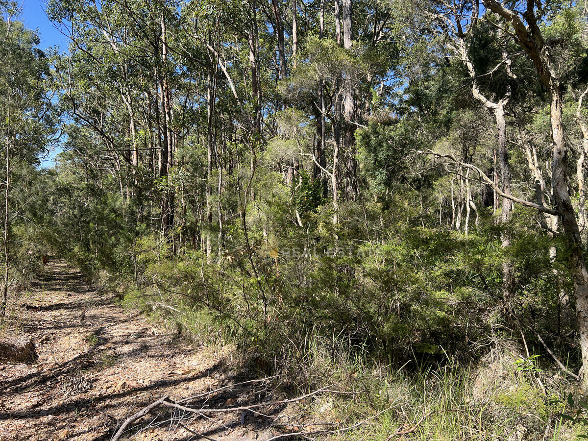Lot 2135 Manilla Crescent, North Arm Cove NSW 2324, North Arm Cove - Thumbnail 5