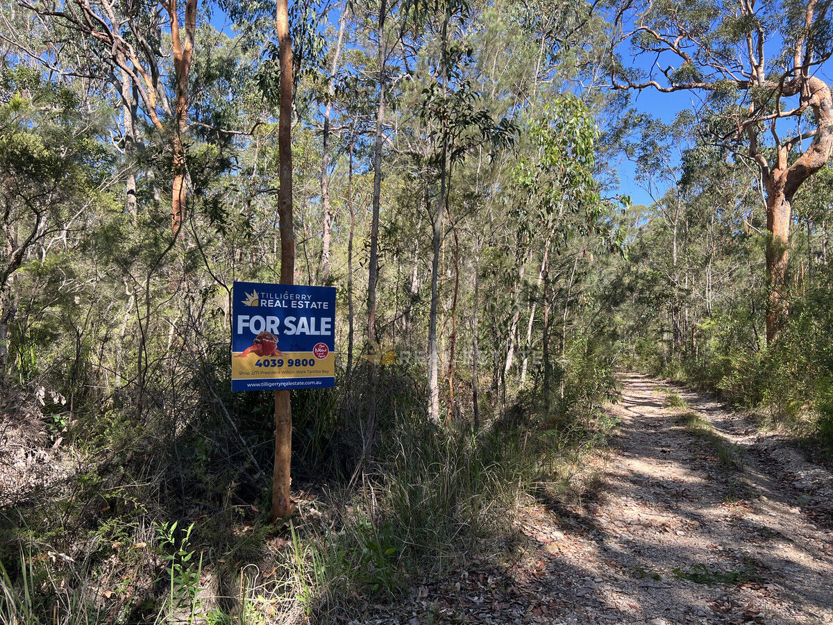 Lot 2135 Manilla Crescent, North Arm Cove NSW 2324, North Arm Cove - Thumbnail 2