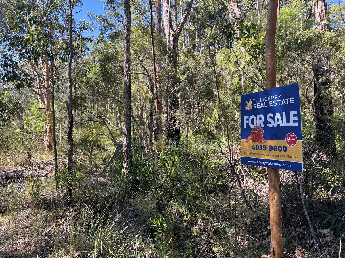Lot 2135 Manilla Crescent, North Arm Cove NSW 2324, North Arm Cove - Thumbnail 3