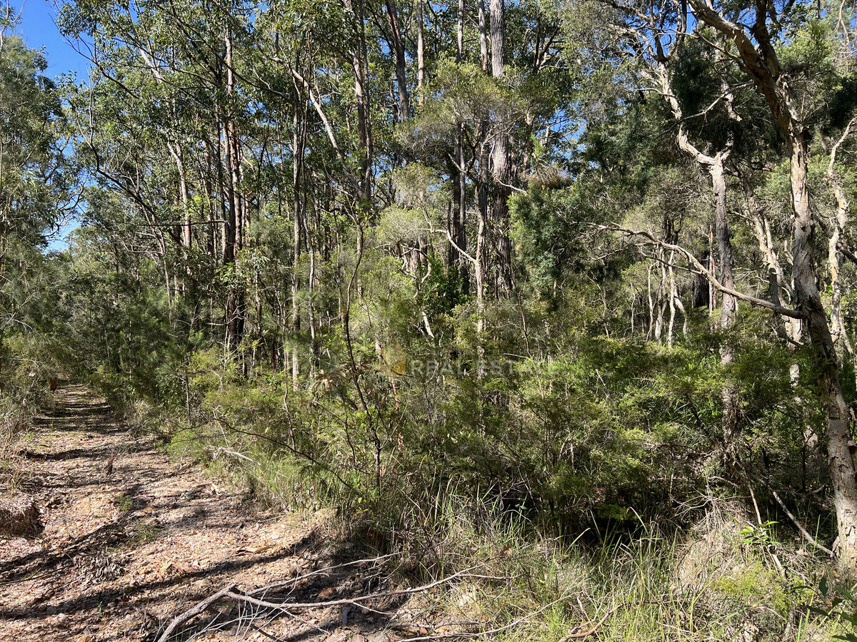 Lot 2135 Manilla Crescent, North Arm Cove NSW 2324, North Arm Cove - Thumbnail 4