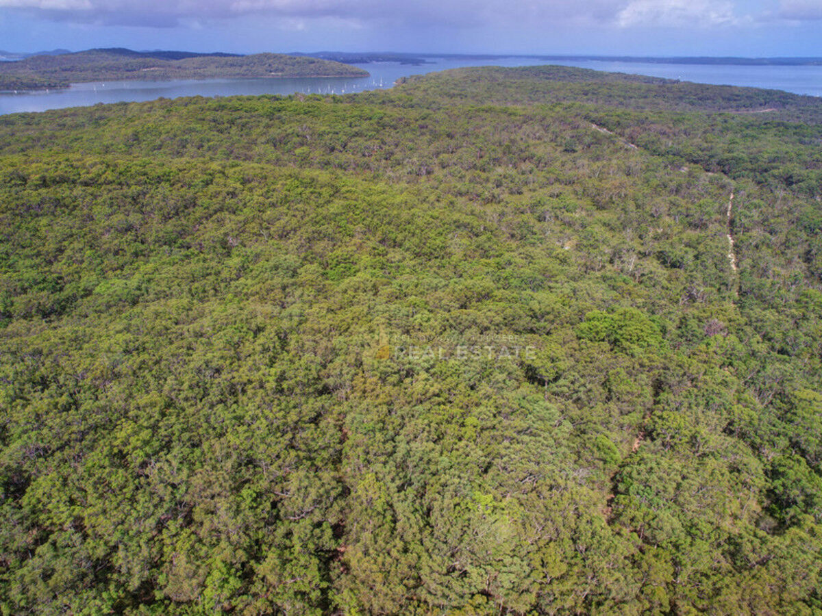 Lot 2135 Manilla Crescent, North Arm Cove NSW 2324, North Arm Cove - Thumbnail 8
