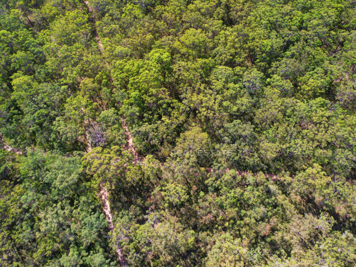 Lot 2135 Manilla Crescent, North Arm Cove NSW 2324, North Arm Cove - Thumbnail 6