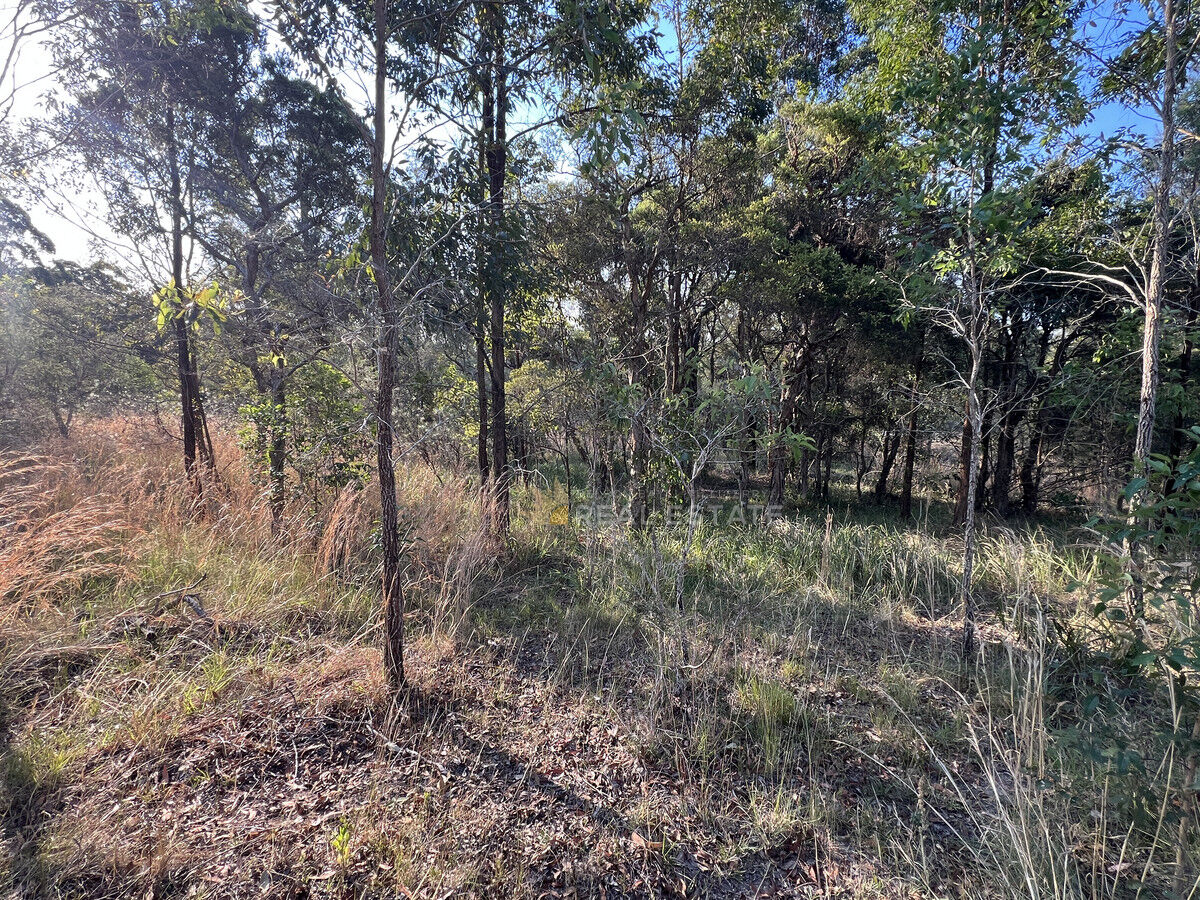 2,000 M², The Branch - Thumbnail 4