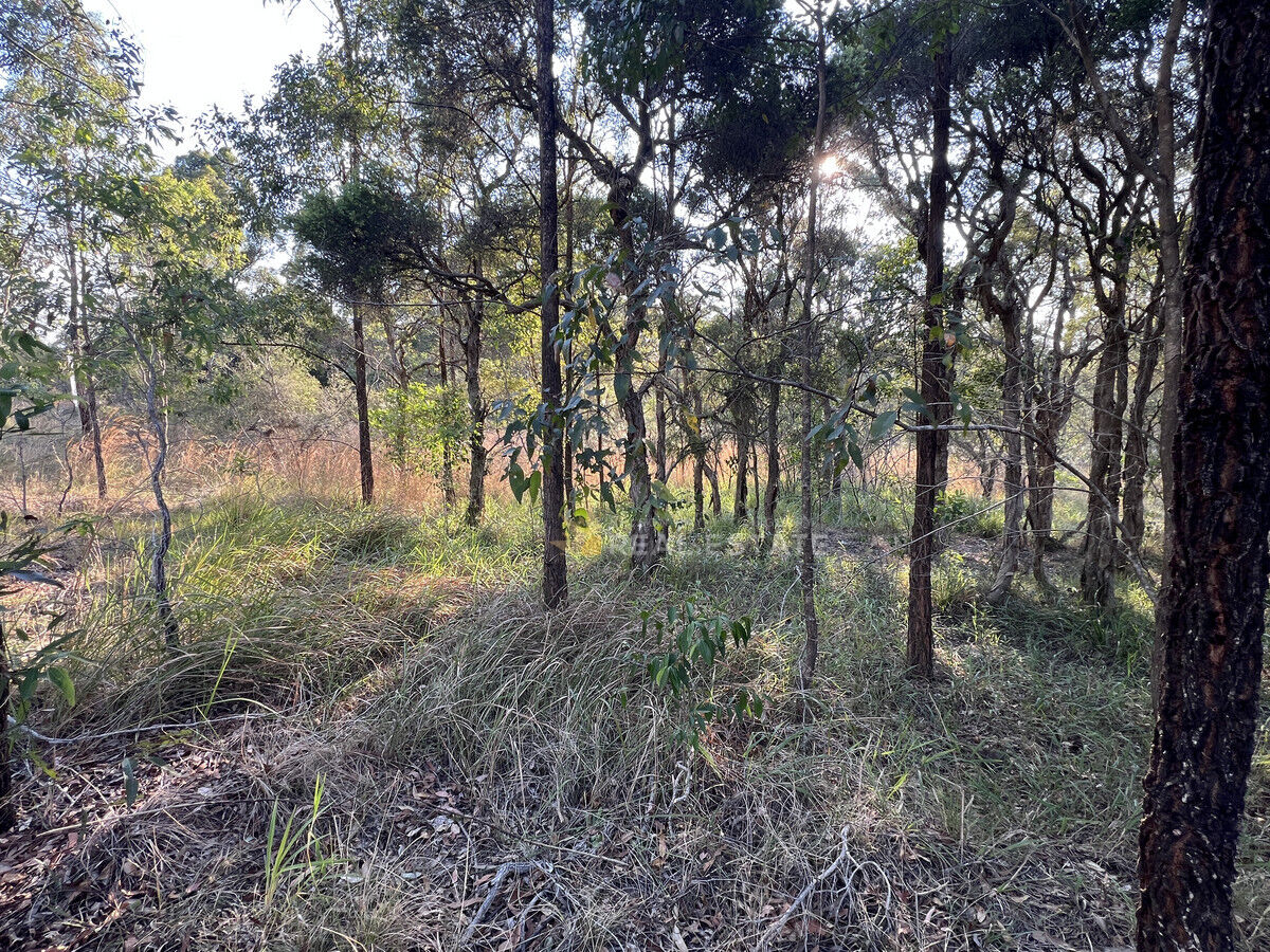 2,000 M², The Branch - Thumbnail 8