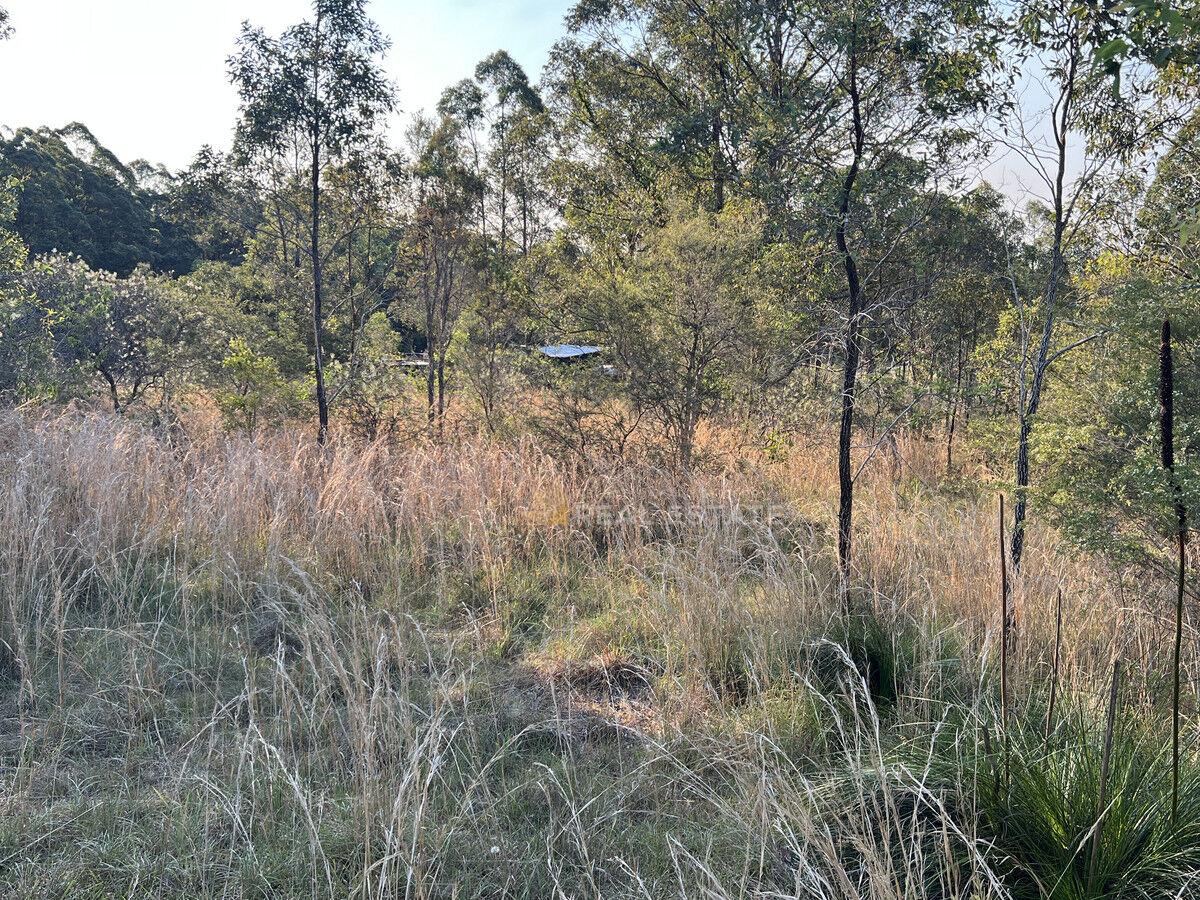 2,000 M², The Branch - Thumbnail 6