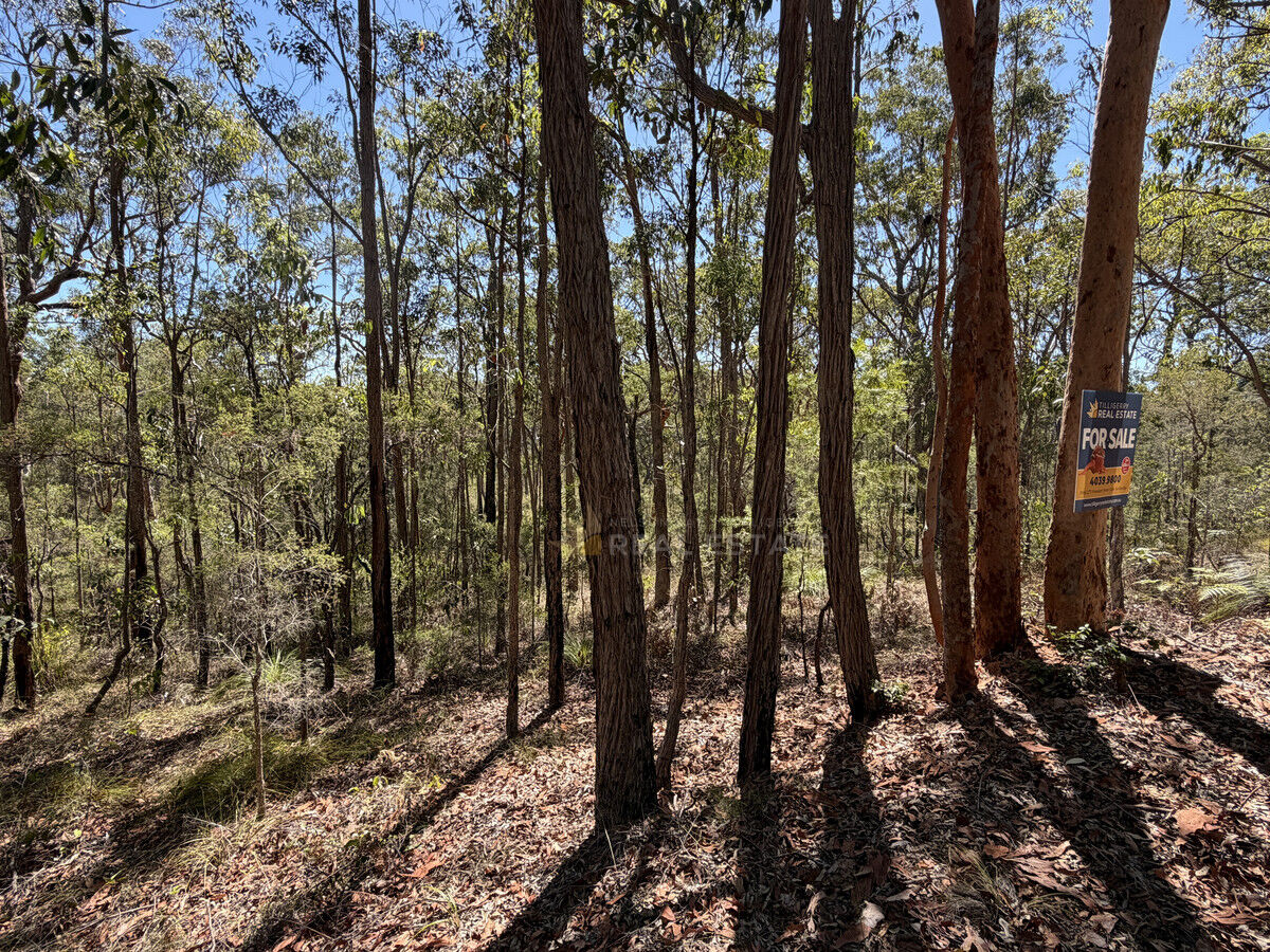 Lot 1941 Somerset Avenue, North Arm Cove NSW 2324, North Arm Cove - Thumbnail 7