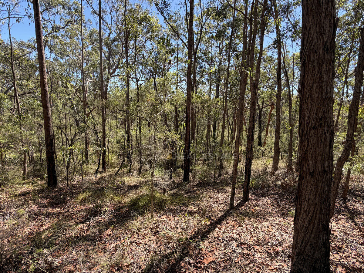 Lot 1941 Somerset Avenue, North Arm Cove NSW 2324, North Arm Cove - Thumbnail 4