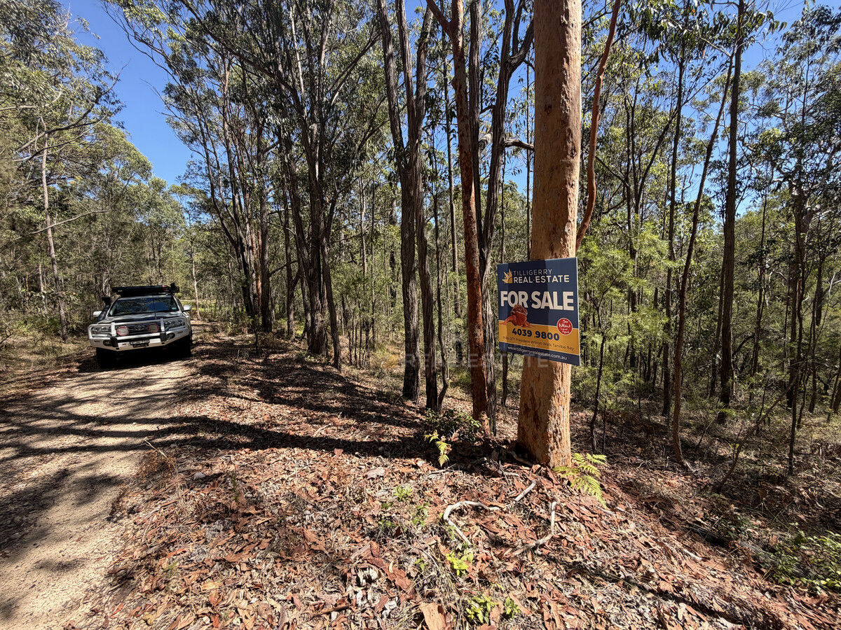 Lot 1941 Somerset Avenue, North Arm Cove NSW 2324, North Arm Cove - Thumbnail 2