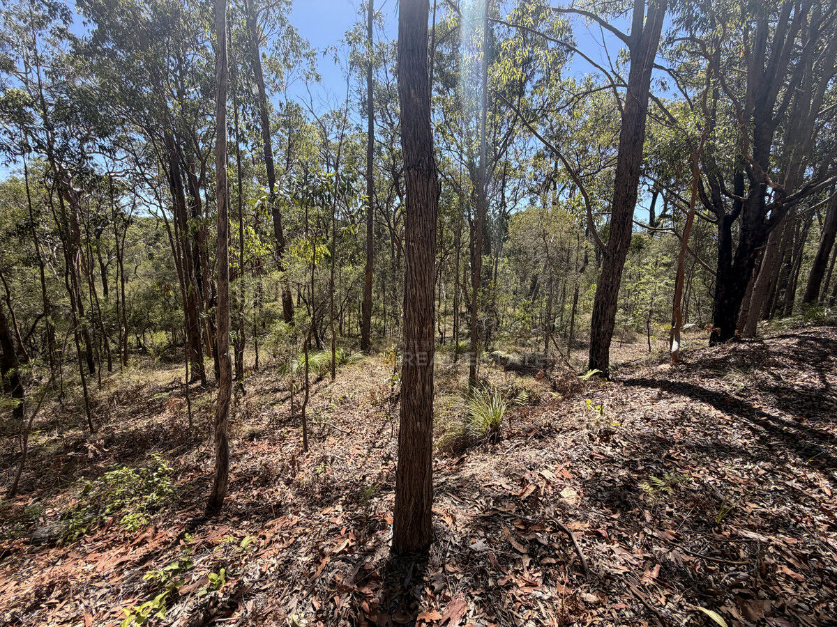 Lot 1941 Somerset Avenue, North Arm Cove NSW 2324, North Arm Cove - Thumbnail 6