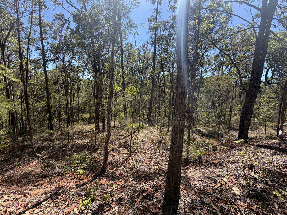 Lot 1941 Somerset Avenue, North Arm Cove NSW 2324, North Arm Cove - Thumbnail 3