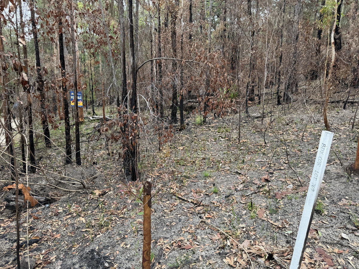 Lot 769 Tenterfield Road, North Arm Cove NSW 2324, North Arm Cove - Thumbnail 2