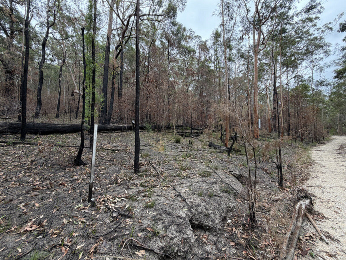 Lot 769 Tenterfield Road, North Arm Cove NSW 2324, North Arm Cove - Thumbnail 5