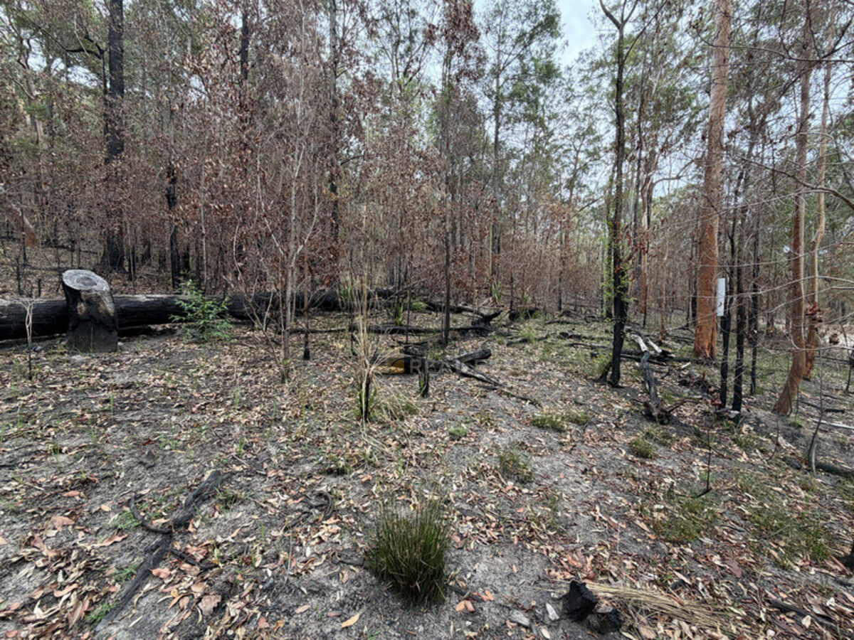 Lot 769 Tenterfield Road, North Arm Cove NSW 2324, North Arm Cove - Thumbnail 7