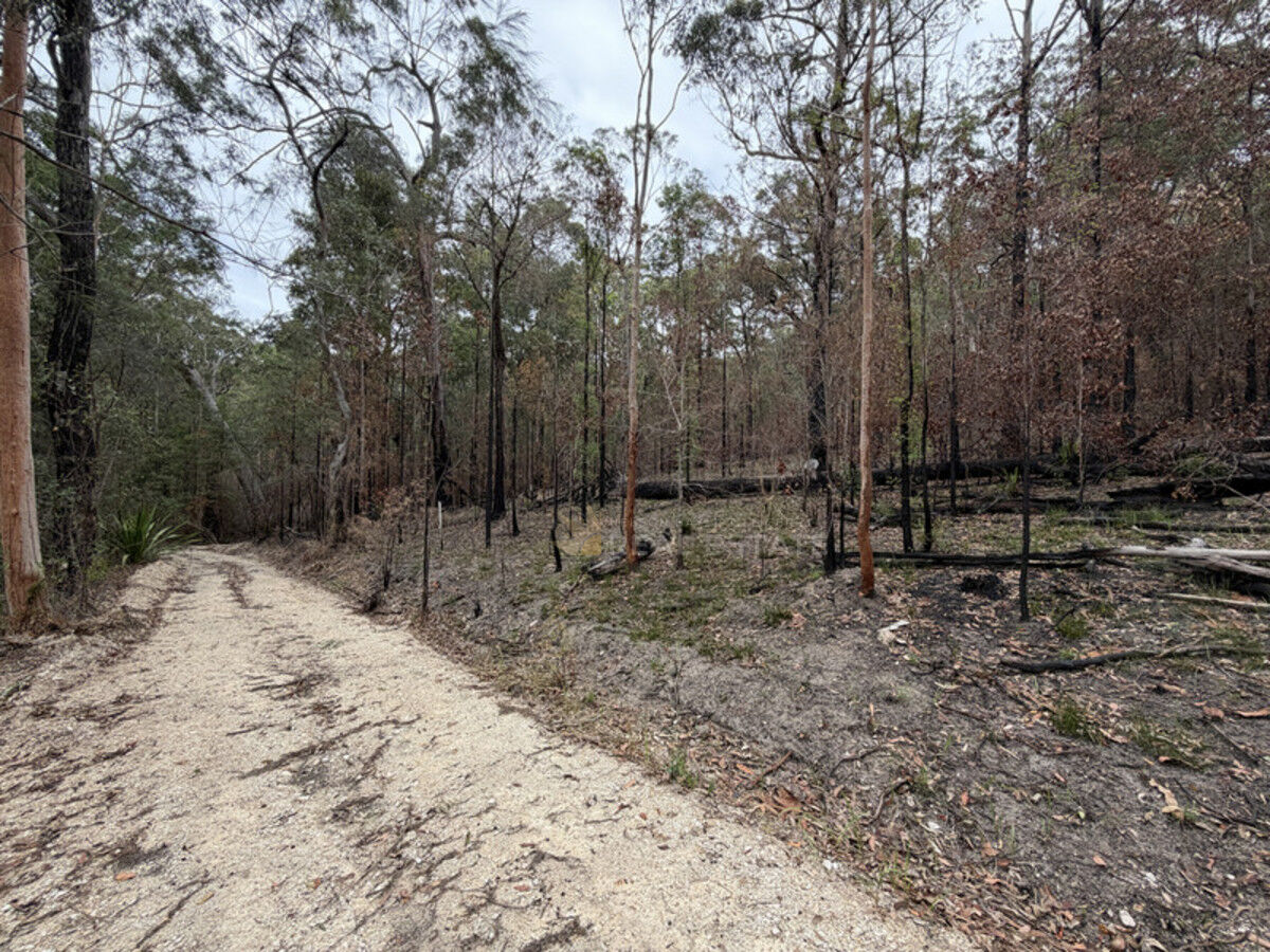 Lot 769 Tenterfield Road, North Arm Cove NSW 2324, North Arm Cove - Thumbnail 6