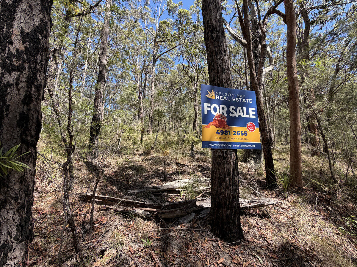 Lot 2062 Coonamble Crescent, North Arm Cove NSW 2324, North Arm Cove - Thumbnail 8