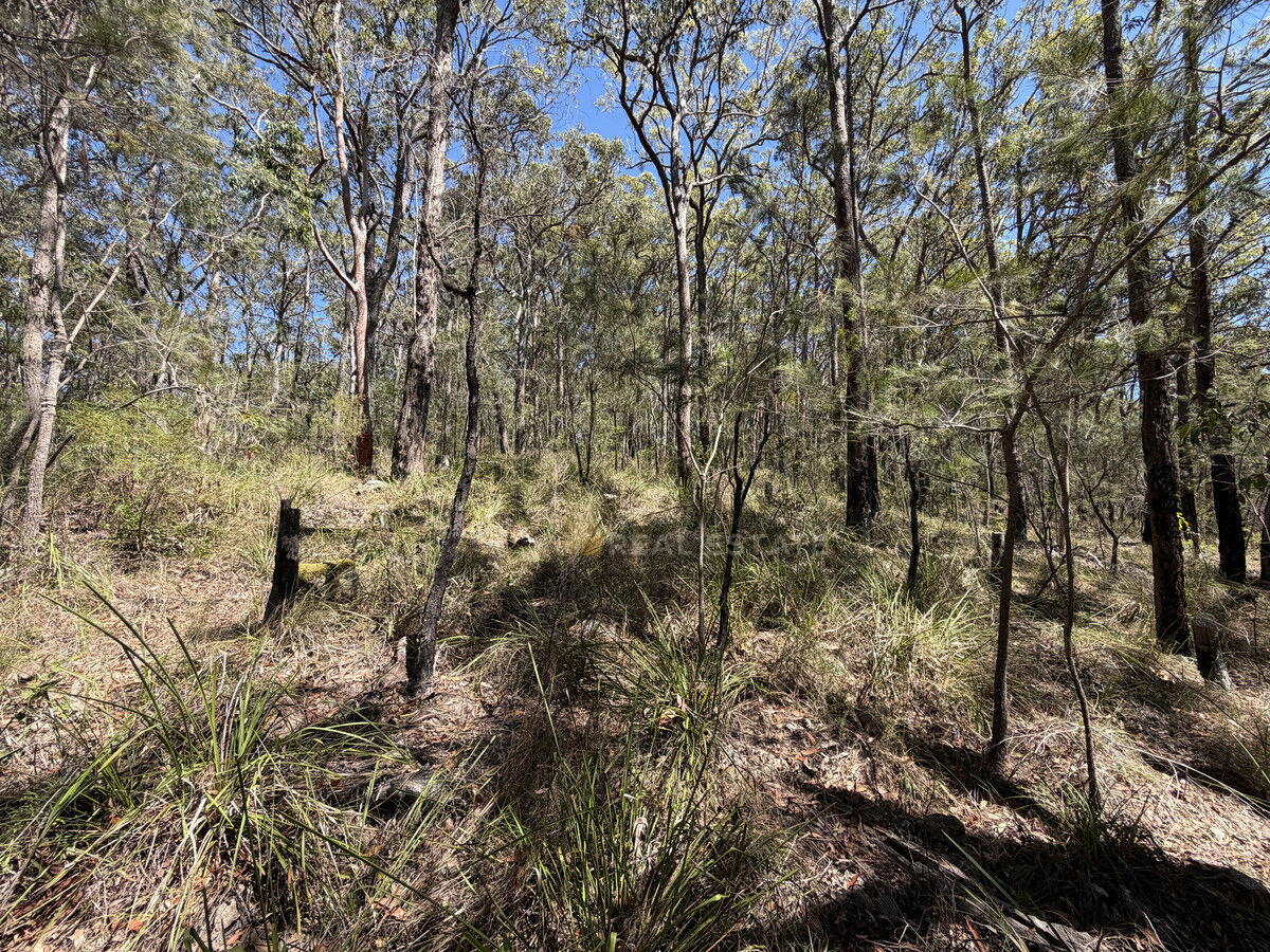 Lot 2062 Coonamble Crescent, North Arm Cove NSW 2324, North Arm Cove - Thumbnail 2