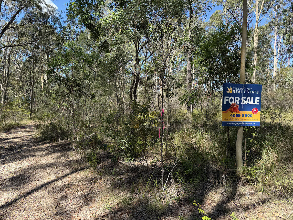 Lot 1424 Warren Place, North Arm Cove NSW 2324, North Arm Cove - Thumbnail 6