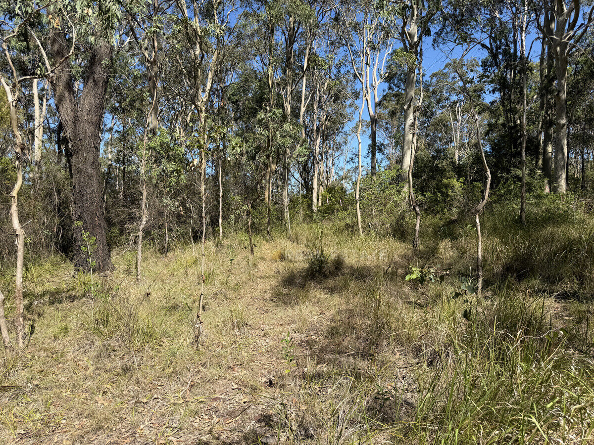 Lot 1424 Warren Place, North Arm Cove NSW 2324, North Arm Cove - Thumbnail 4