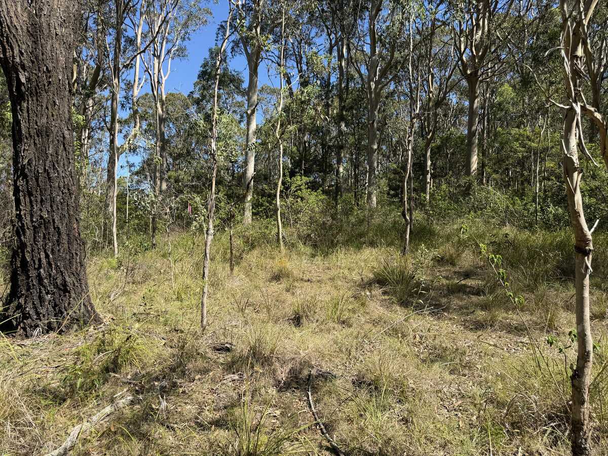 Lot 1424 Warren Place, North Arm Cove NSW 2324, North Arm Cove - Thumbnail 5