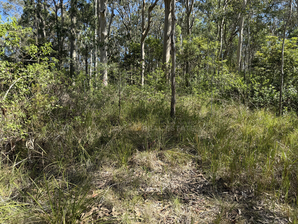 Lot 1424 Warren Place, North Arm Cove NSW 2324, North Arm Cove - Thumbnail 8