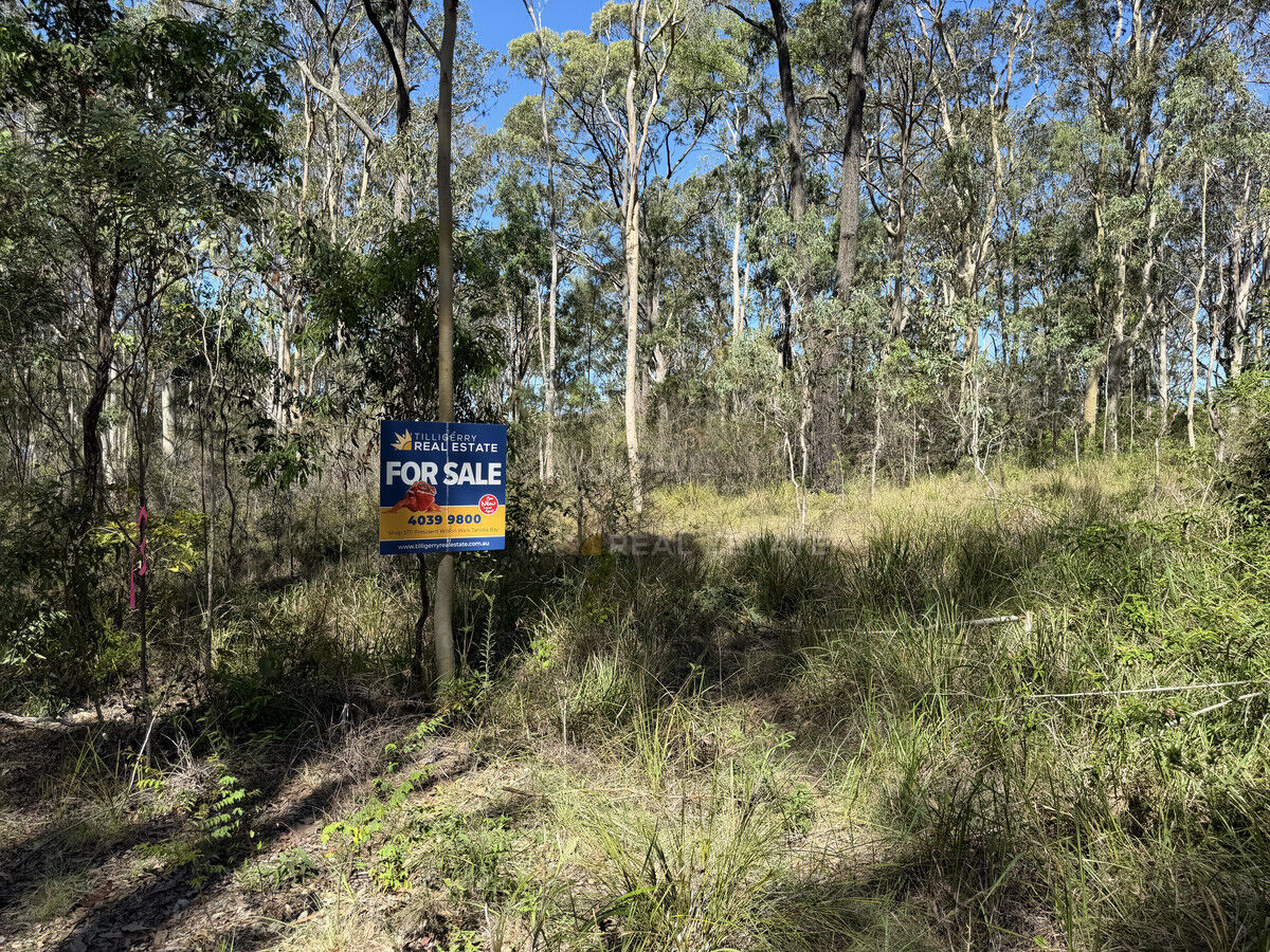 Lot 1424 Warren Place, North Arm Cove NSW 2324, North Arm Cove - Thumbnail 2