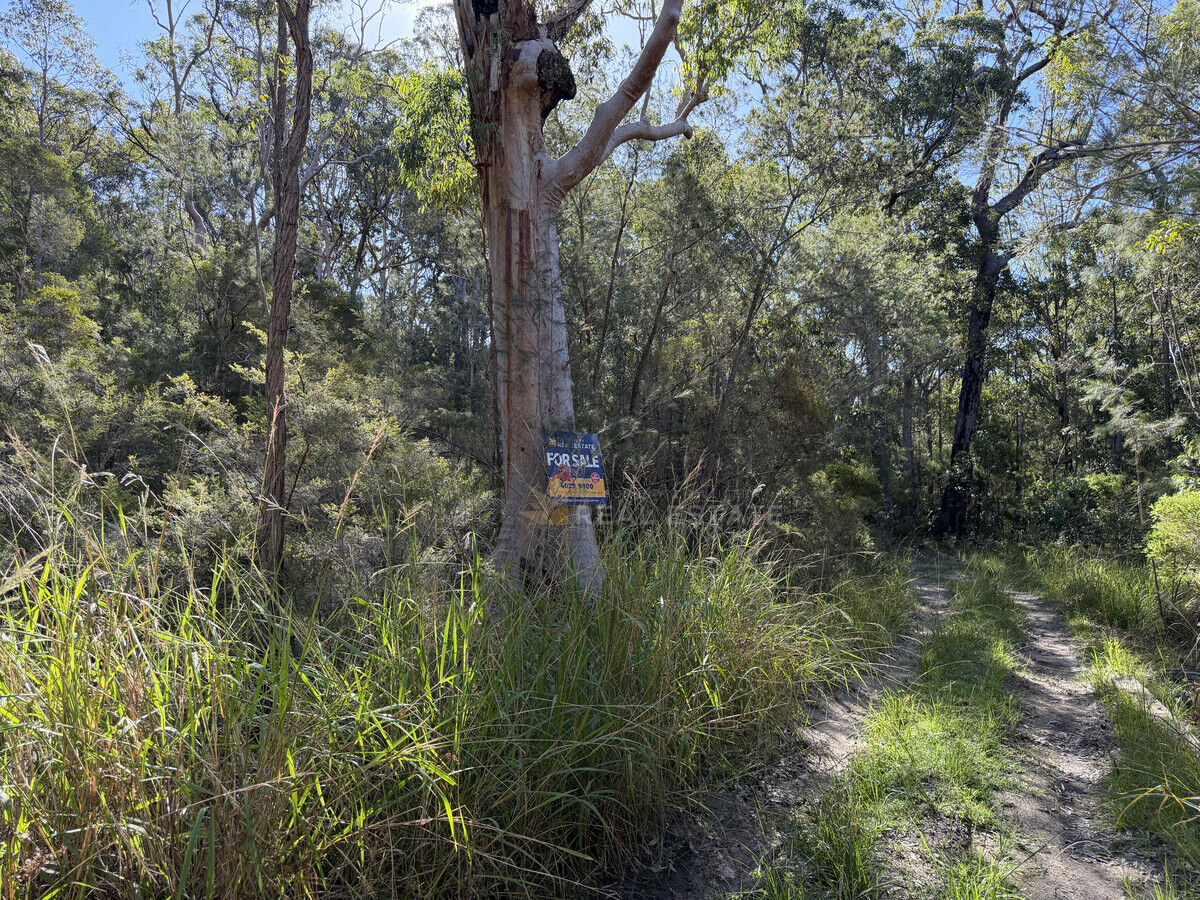 Lot 358 Lansdowne Grove, North Arm Cove NSW 2324, North Arm Cove - Thumbnail 3