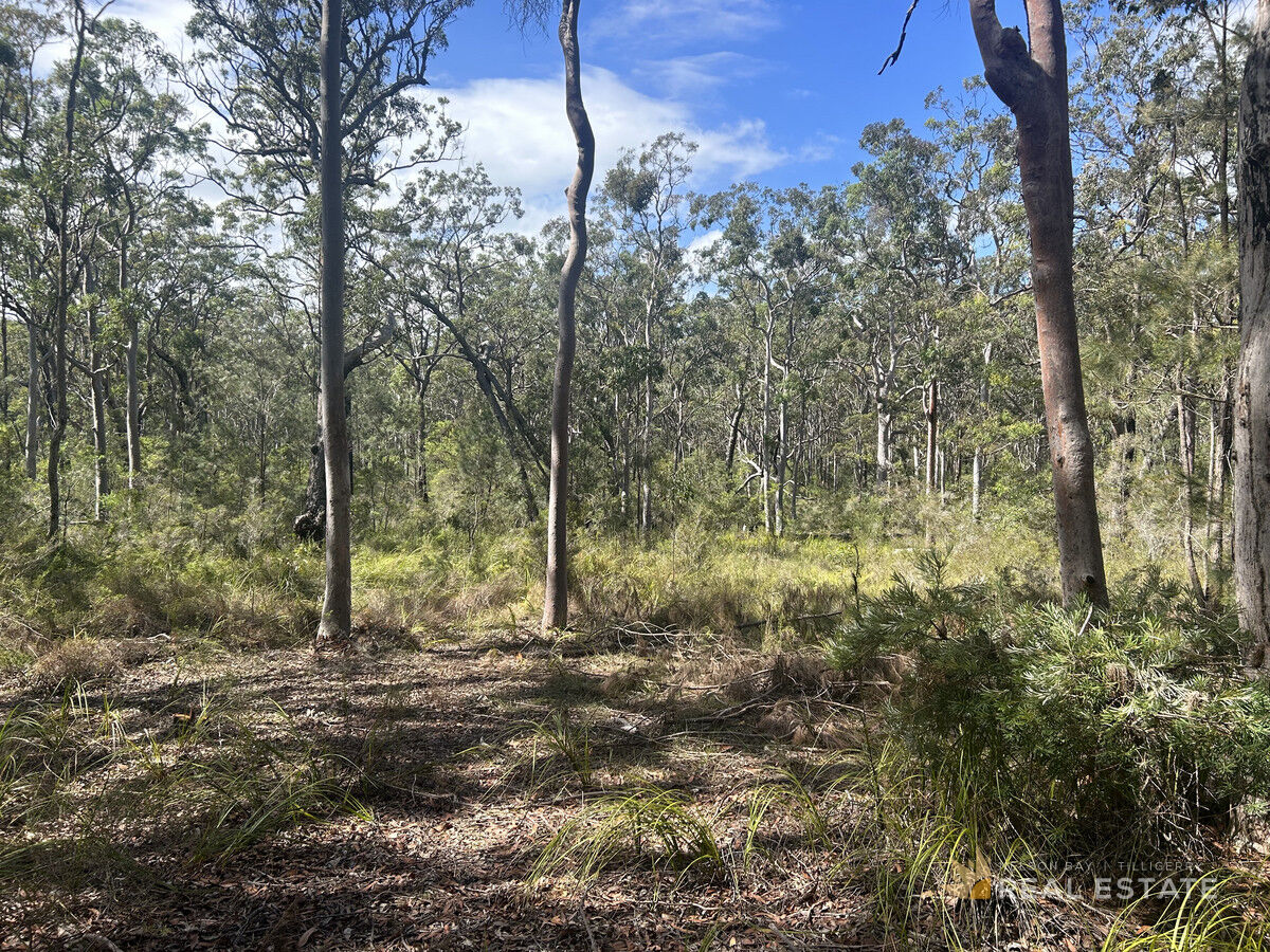 Lot 1931 Somerset Avenue, North Arm Cove NSW 2324, North Arm Cove - Thumbnail 8