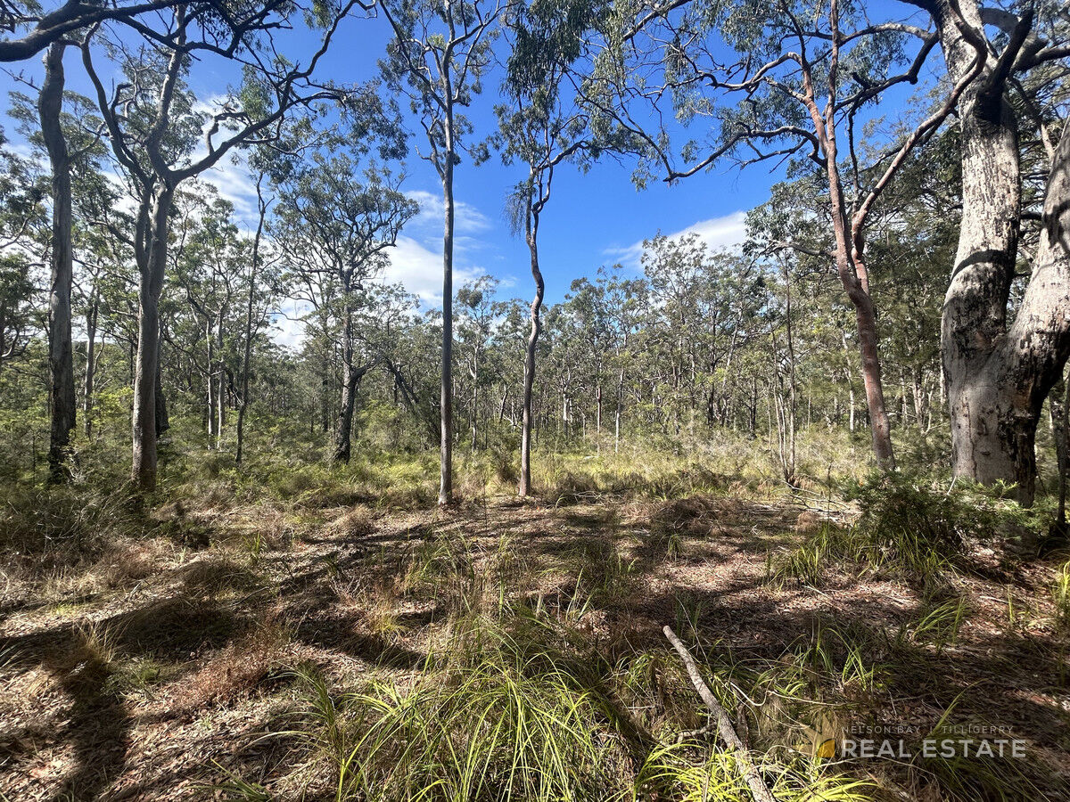 Lot 1931 Somerset Avenue, North Arm Cove NSW 2324, North Arm Cove - Thumbnail 7