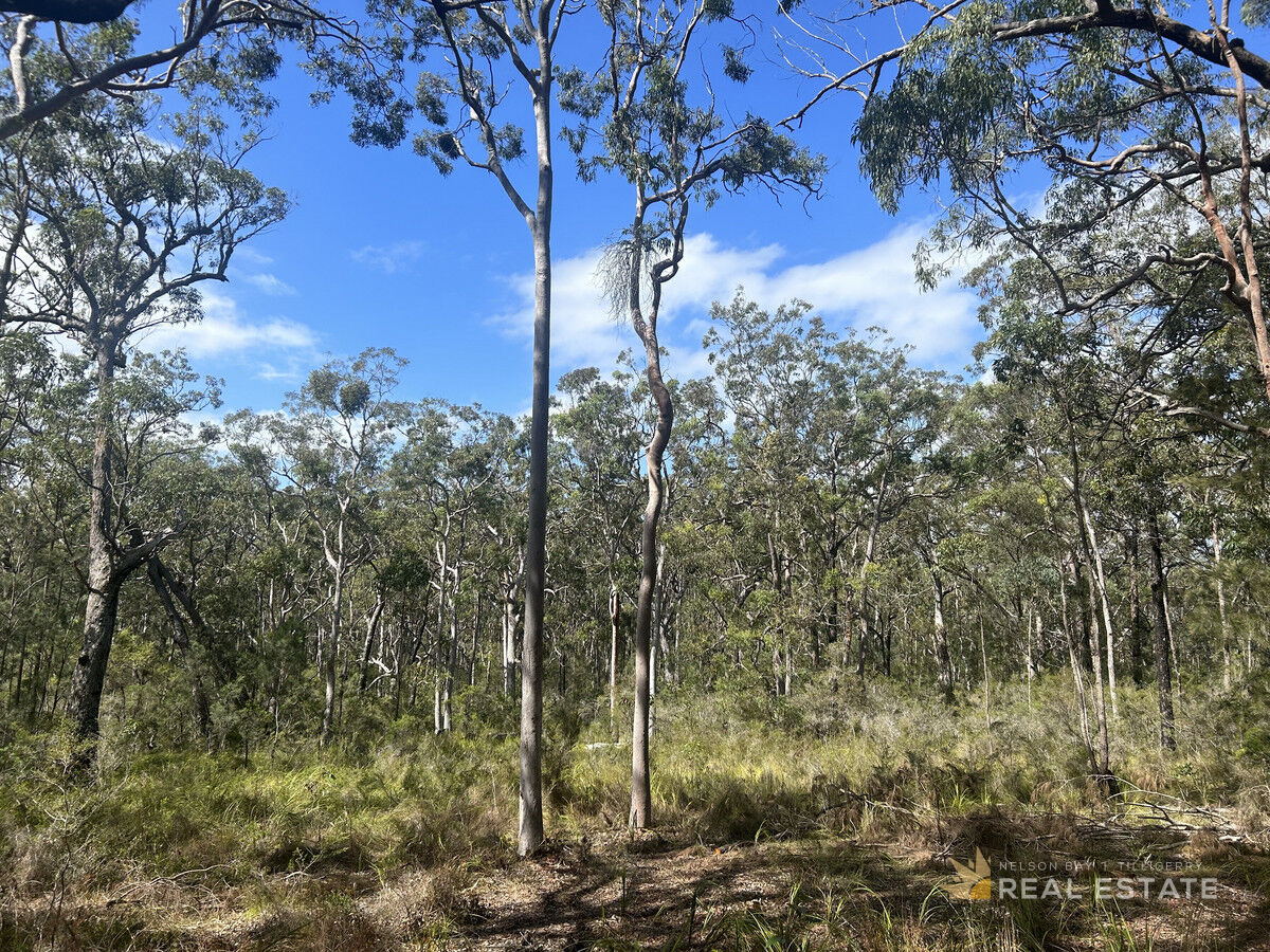 Lot 1931 Somerset Avenue, North Arm Cove NSW 2324, North Arm Cove - Thumbnail 5