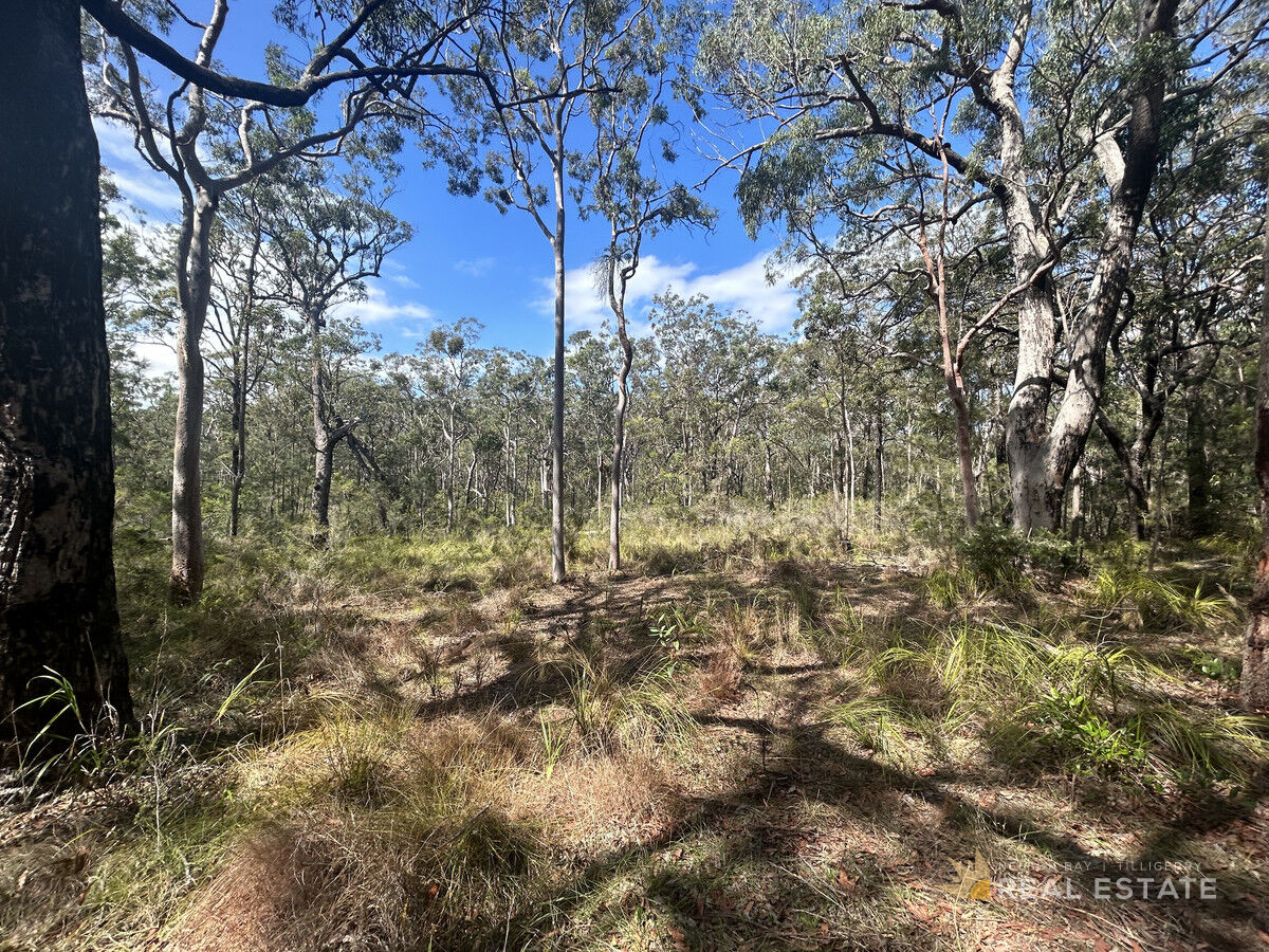 Lot 1931 Somerset Avenue, North Arm Cove NSW 2324, North Arm Cove - Thumbnail 6