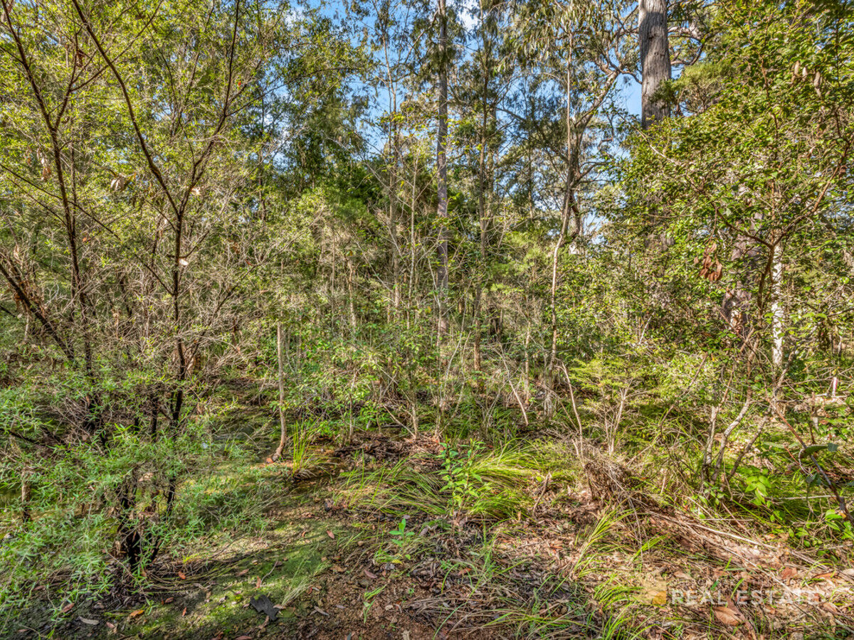 Lot 2741 Burren Street, North Arm Cove NSW 2324, North Arm Cove - Thumbnail 3